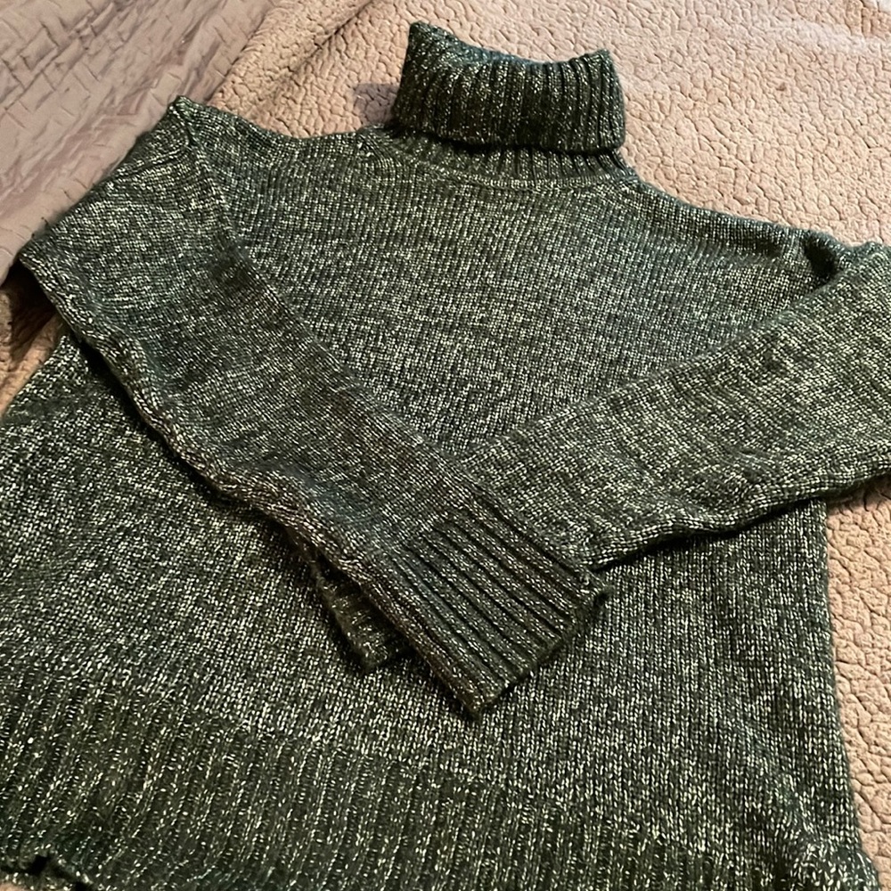 Banana Republic turtle neck sweater size medium in green